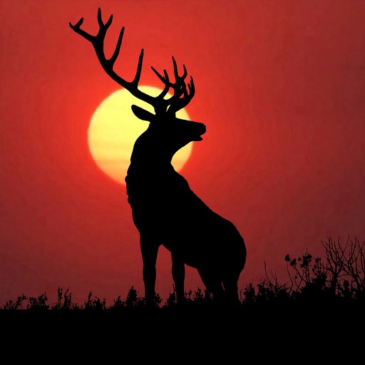 Deer Hunting Wallpaper and Background icon