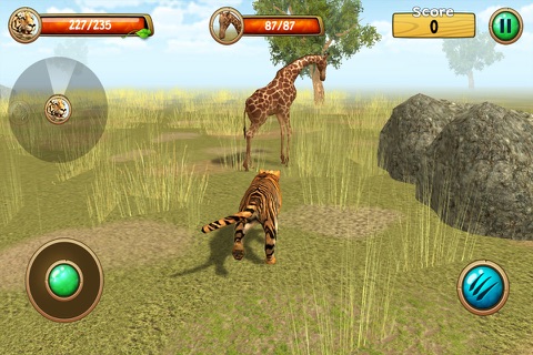 Wild Tiger Simulator 3D screenshot 4