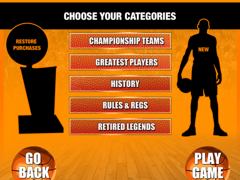 Pro Basketball Playoff Finals HD screenshot 2