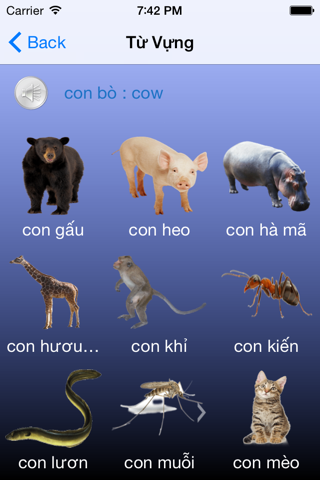 Learn Vietnamese Free screenshot 2