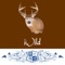 iWild is an handy hunting reference app, which helps you to identify, classify the deers, stags age for young hunters, professional hunters or for people, who want to become a hunter or just interested in 