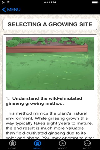 How To Grow Ginseng - Beginner's Guide screenshot 3