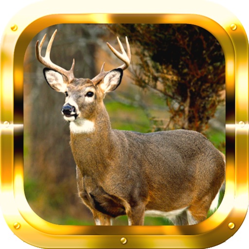 Sniper Deer Hunting Gold Icon