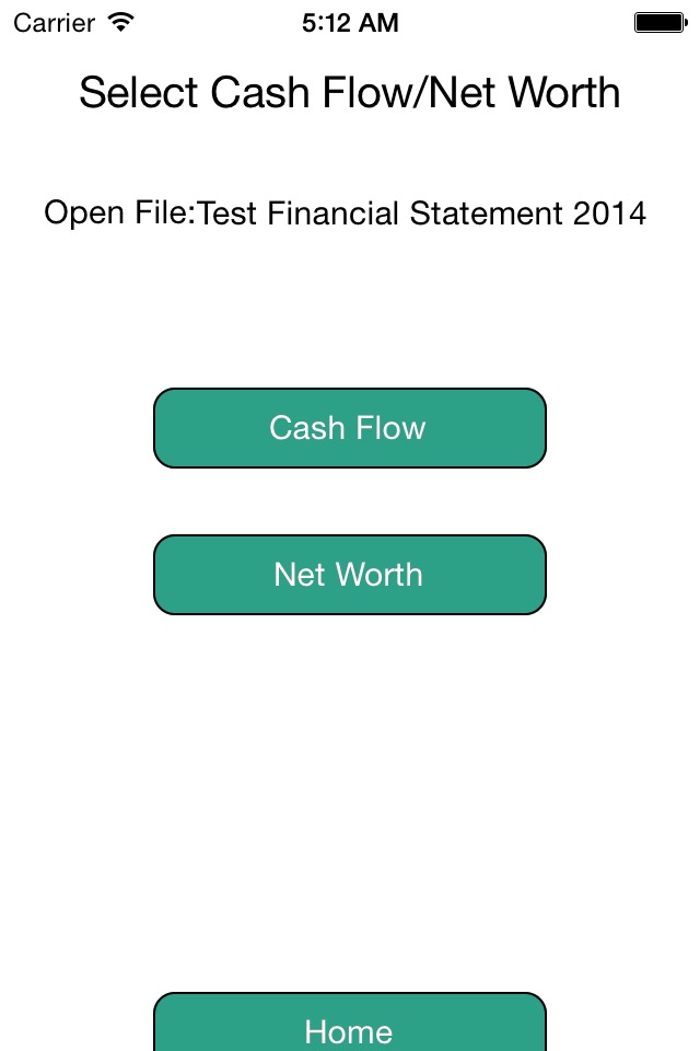 Financial Statement screenshot 2