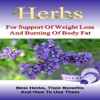 Herbs for Weight Loss and Burning of Body Fat