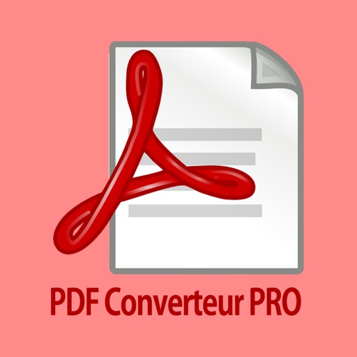 Converteur PRO Icon