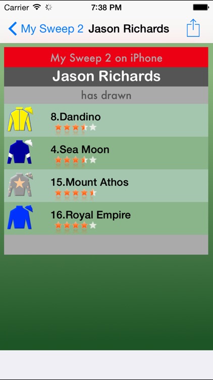 Melbourne Cup Sweep screenshot-3
