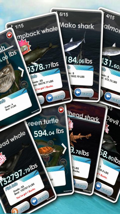 Real Fishing 3D Free screenshot-4