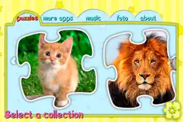 Game screenshot GFA Puzzle Cats mod apk