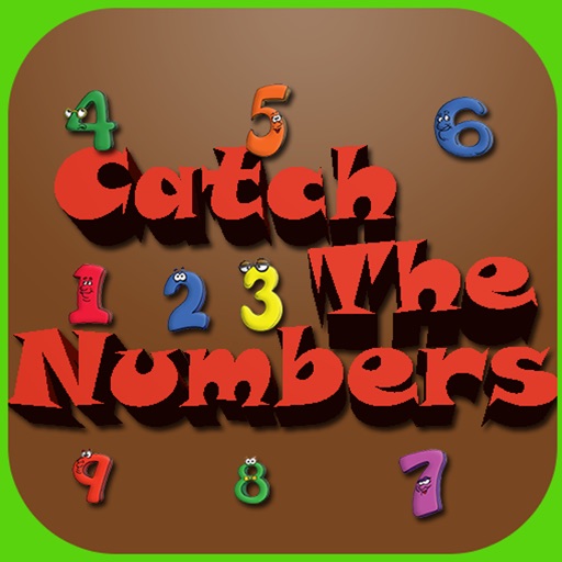 Catch The Numbers iOS App