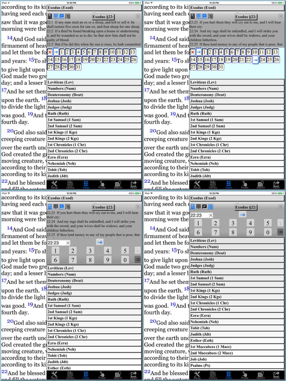 Bible Douay-Rheims Version(Catholic)HD screenshot-3