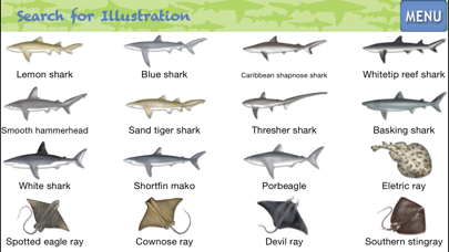 Sharks & Rays - ID Guideのおすすめ画像2