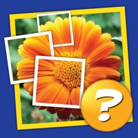 Mosaïque: Tap 1 image et devinez 1 mot! pour PC