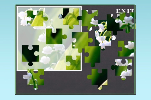 A Flower Puzzle Game - Free screenshot 2