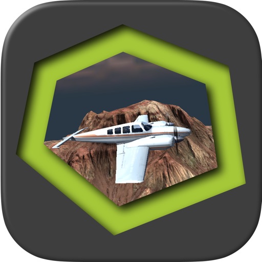 Flight Simulator - Beenoculus iOS App