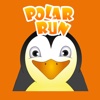 Polar Run