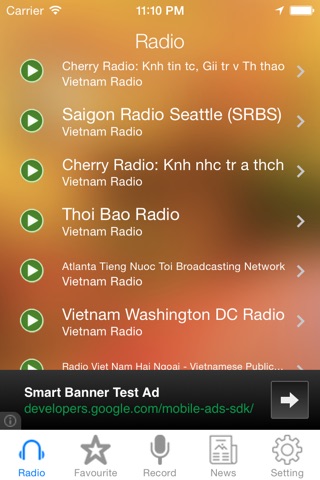 Vietnam Radio and Newspaper screenshot 2