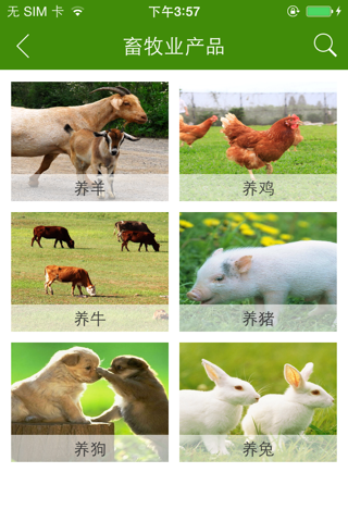 中国畜牧业 screenshot 2