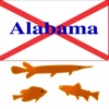 Alabama Lakes - Fishing