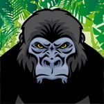 Zoológico de fuga do macaco da selva  O correr da floresta