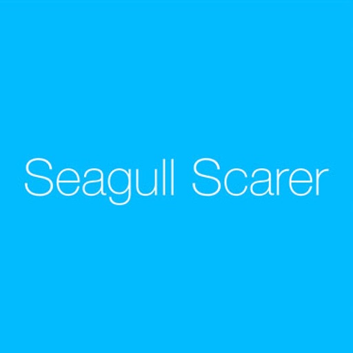 Seagull Scarer
