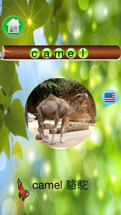 Guess the Animals For Kids Free screenshot-3