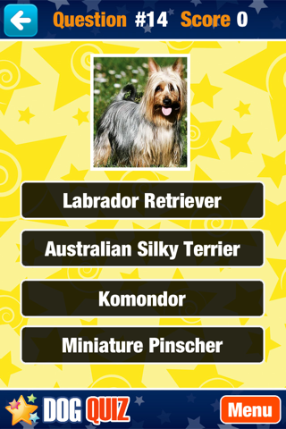 Dog Quiz. screenshot 4