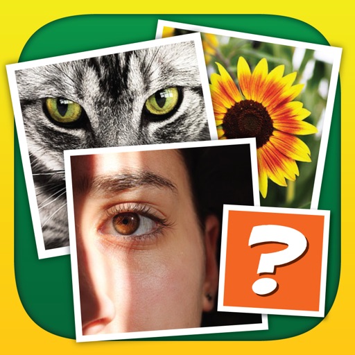 4 Pics: Find the odd one! iOS App