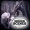 Hidden Scenes is a game similar to a jigsaw puzzle where you swap and flip the pieces to reveal the hidden picture