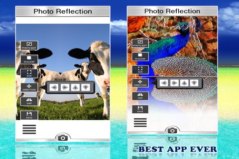 Amazing Photo Reflection Tool Lite screenshot 2