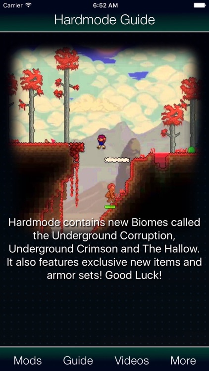 Mods for Terraria screenshot-3