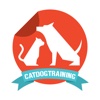 CAT DOG TRAINING