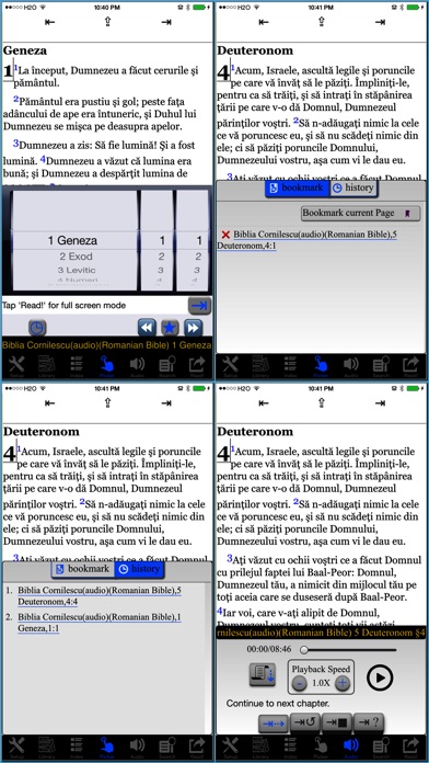 Biblia Cornilescu(audio)(Romanian Bible) Screenshot 5