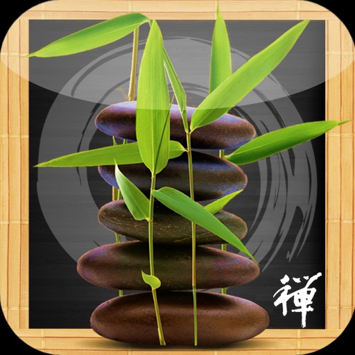 Puz-ZEN-le Zen Puzzle Game (iPad Version) iOS App