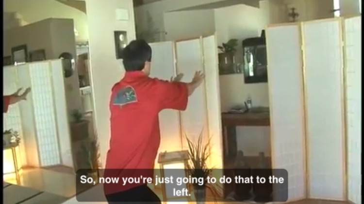 Qigong screenshot-4