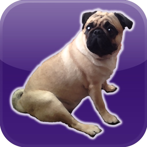 Farting Pug icon