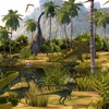 Paleontology & Fossils Quizzes