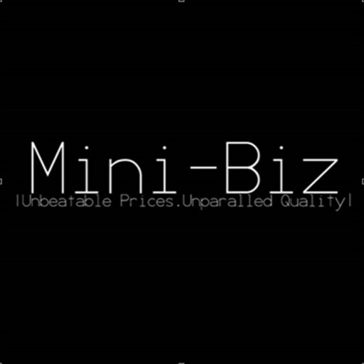 MINI-BIZ