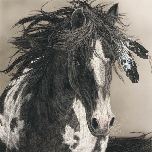 Horses Puzzle iOS App