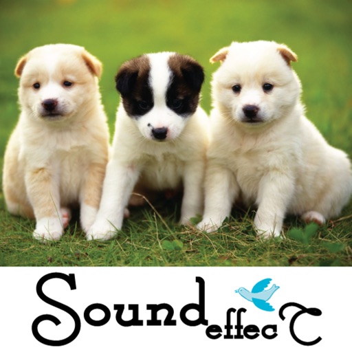 Animals Family Sound Effect icon