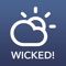 Wicked Weathah - Authentic Boston Weather & Effing Funny Conditions