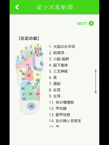 リフレクソロジーのおすすめ画像2
