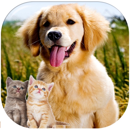 Kittens and Puppies Sliding Puzzle Pro iOS App