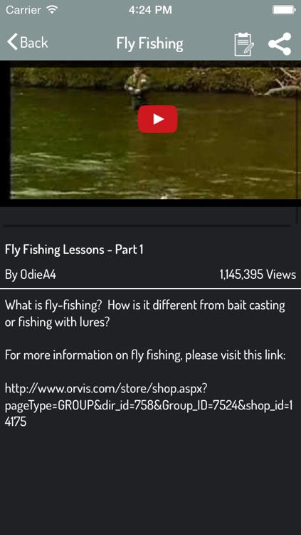 Fishing Guide - Best Video Guide