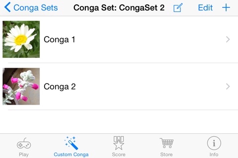 Custom Conga screenshot 4