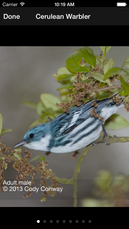 BirdsEye Biggest Week in American Birding Festival App