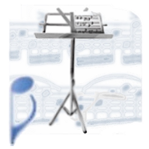 SheetRack - Original Sheet Music Score Reader