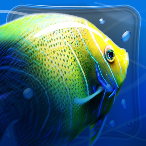 Private Sea iOS App
