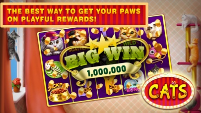 Cats Free Slots Casino Machines Jackpot screenshot 4