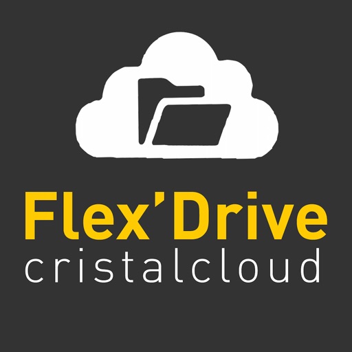 FlexDrive